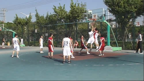 f5.jpg